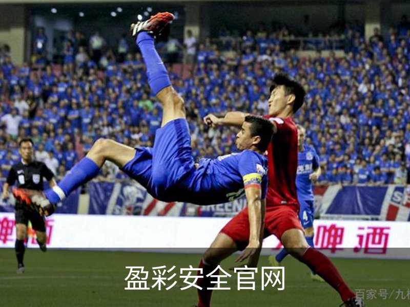 关于盈彩安全官网
